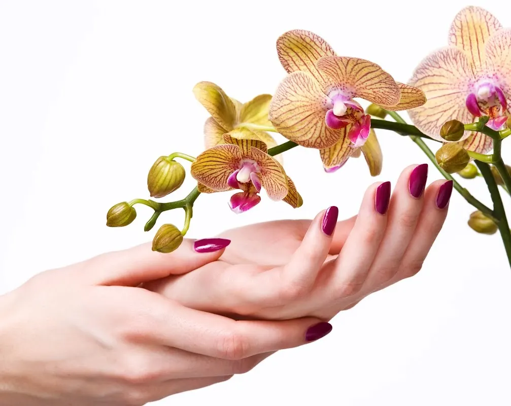 Fusion Salon & Day Spa — Nail salon in Woodbridge